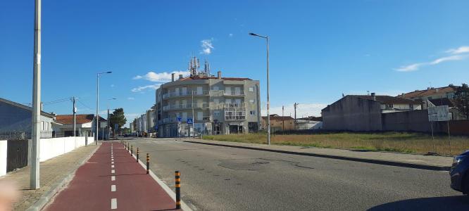 Vagos, Aveiro 3840-239, Portugal
