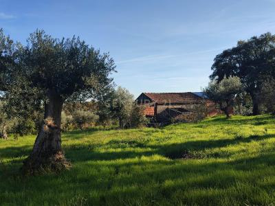 布朗库堡区, 布朗库堡区 6006-906, 葡萄牙