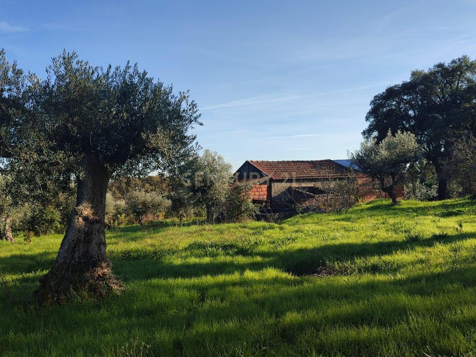 布朗库堡区, 布朗库堡区 6006-906, 葡萄牙