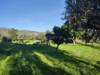 布朗库堡区, 布朗库堡区 6006-906, 葡萄牙