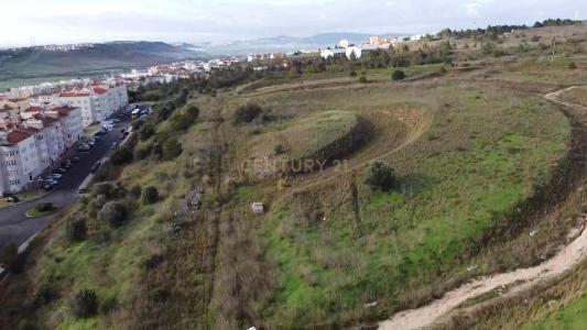 Vila Franca de Xira, Lisbon 2625-718, Portugal