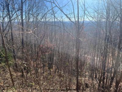 Lot 132 Sanctuary Drive, Murphy, North Carolina 28906