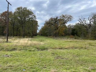 AN County Road 493, Cayuga, Texas 75148, USA