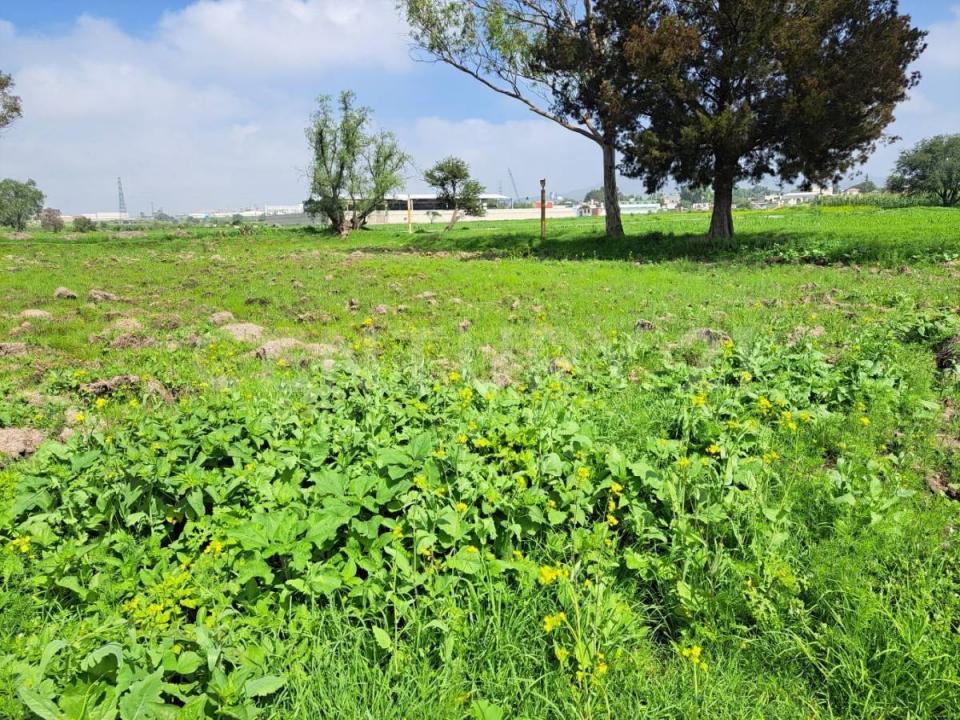 11003 Paraje de los Charcos 2,, Huehuetoca, 멕시코 주 54685, 멕시코