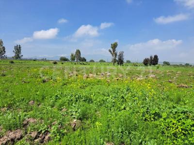 11003 Paraje de los Charcos 2,, Huehuetoca, 멕시코 주 54685, 멕시코