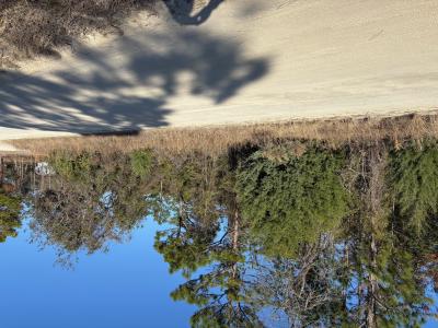 0 SW 165 Avenue Rd, Ocala, 플로리다 34481, 미국