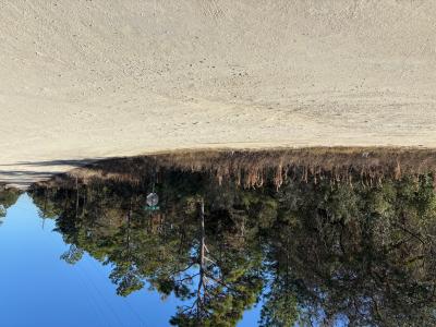 0 SW 165 Avenue Rd, Ocala, 플로리다 34481, 미국