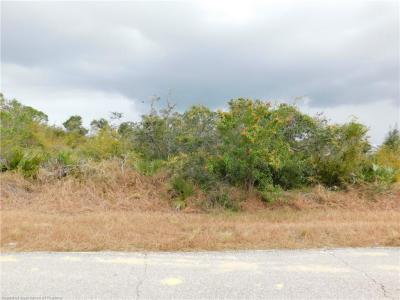 1503 Chatsworth Street, Lake Placid, 佛罗里达州 33852, 美国