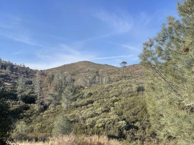 4747 Bear Valley Rd., Mariposa, Californie 95338, États-Unis