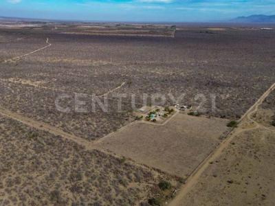 La Paz, La Basse-Californie Du Sud 23250, Mexique