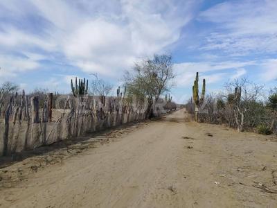 La Paz, Baja California Sur 23250, México