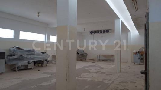 La Paz, Baixa Califórnia Do Sul 23205, México