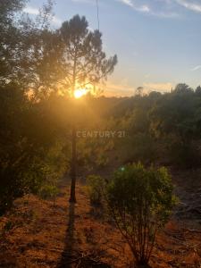 Monchique, Faro 8550-201, Portugal