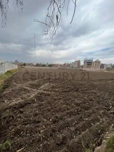 Av. Daniel Alcides Carrión, La Pampilla , Arequipa, Arequipa 00001, بيرو