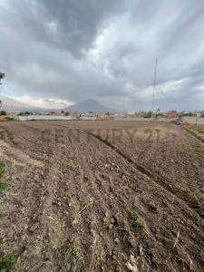 Av. Daniel Alcides Carrión, La Pampilla , Arequipa, Arequipa 00001, بيرو