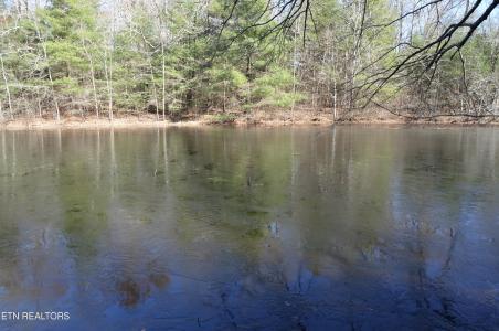 Sparta Hwy 31.64 +/- Acres, Crossville, Tennessee 38555, États-Unis
