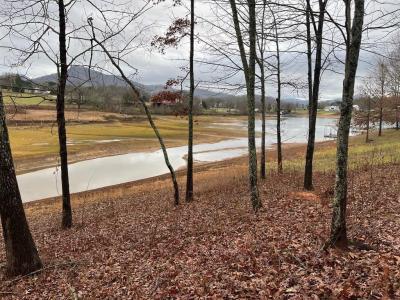 Lot 24 Arden Lane, Hayesville, 北卡羅來納州 28904, 美國