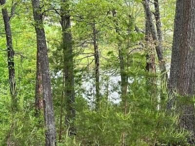 Lot 24 Arden Lane, Hayesville, 北卡羅來納州 28904, 美國