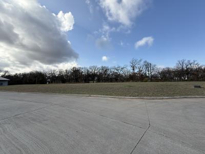 TBD Center Court Drive, Bridgeport, Texas 76426, Stati Uniti