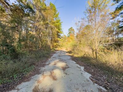 R81455 Walnut Street, Huntington, Texas 75949, Estados Unidos