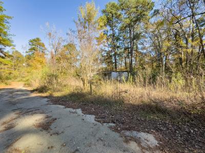 R81455 Walnut Street, Huntington, Texas 75949, Estados Unidos