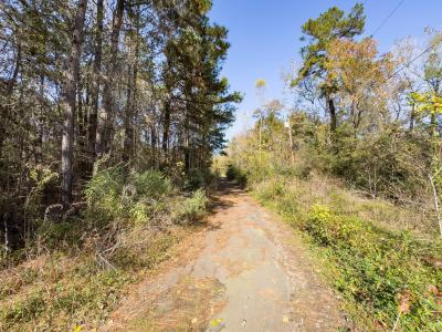 R81455 Walnut Street, Huntington, Texas 75949, Estados Unidos