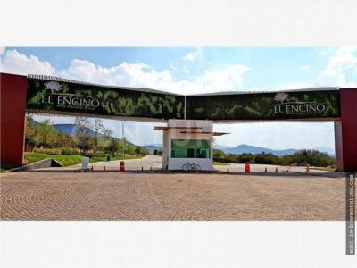 Cerrada de la Garza No. 24,, Huimilpan, 克雷塔罗 76973, 墨西哥
