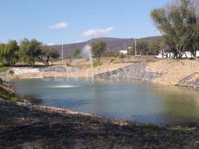 Cerrada de la Garza No. 24,, Huimilpan, 克雷塔罗 76973, 墨西哥