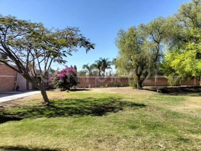 HACIENDA DE LA ERRE ,, Celaya, Guanajuato 38019, Meksika