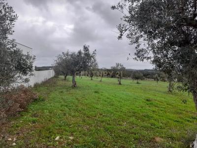 Ourém, Santarem 2490-399, Portugal