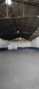 Cajeme, Sonora 85000, Mexico