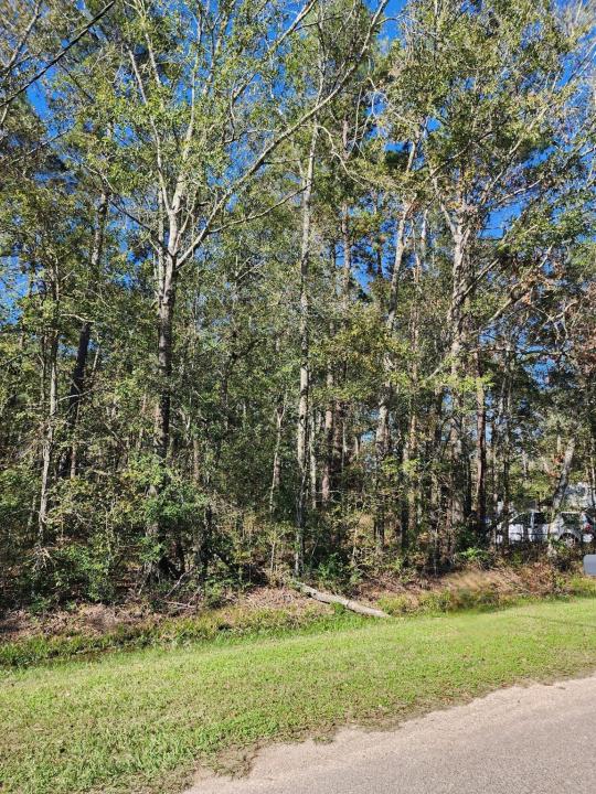 243 County Road 3662, Splendora, Texas 77372