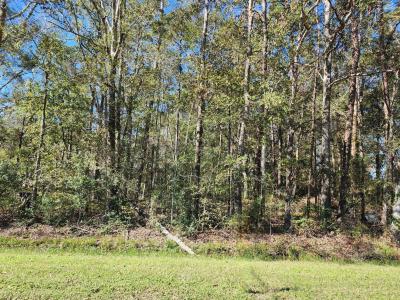 243 County Road 3662, Splendora, Texas 77372
