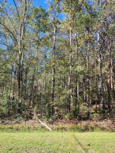 243 County Road 3662, Splendora, Texas 77372