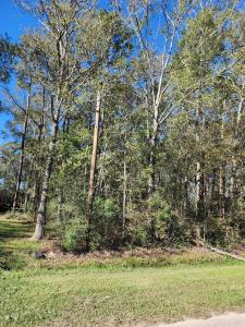 243 County Road 3662, Splendora, Texas 77372