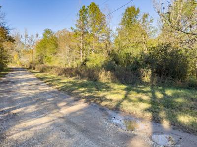 R81456 Walnut Street, Huntington, Texas 75949