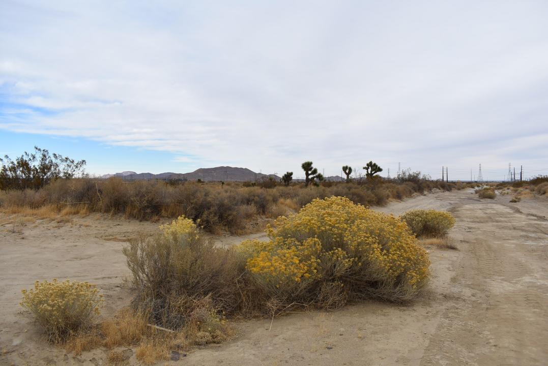 11700 W Holiday Ave APN 359-231-04, Rosamond, Californie 93560, États-Unis