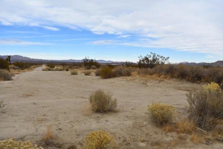 11700 W Holiday Ave APN 359-231-04, Rosamond, Californie 93560, États-Unis