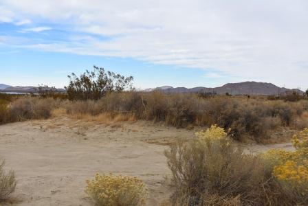 11700 W Holiday Ave APN 359-231-04, Rosamond, Californie 93560, États-Unis
