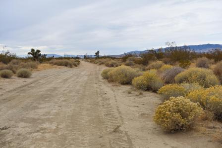 11700 W Holiday Ave APN 359-231-04, Rosamond, Californie 93560, États-Unis