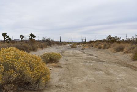 11700 W Holiday Ave APN 359-231-04, Rosamond, Californie 93560, États-Unis