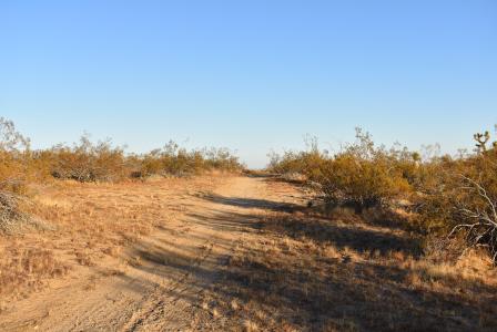 19300 W Astoria Ave APN 261-241-11, Rosamond, كاليفورنيا 93560, الولايات المتحدة