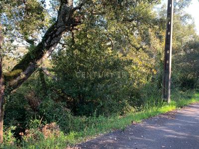 Montemor O Velho, Coimbra 3140-207, Portogallo