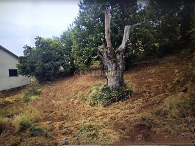 Montalegre, Vila Real 5300-000, Portugal