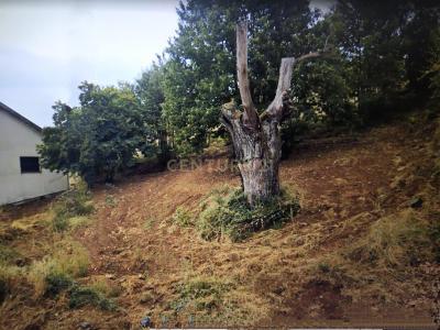 Montalegre, Vila Real 5300-000, Portogallo