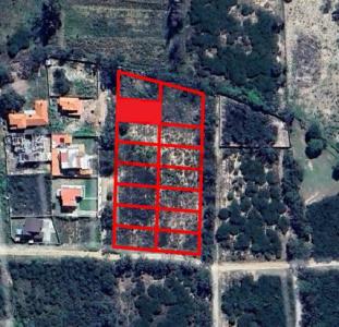 Avenida sin nombre entre calle C y calle 4, San Luis S/N, San Luis, Tarija 00001, Bolivia