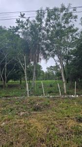 San Bernardino, Cordillera 00001, Paraguay