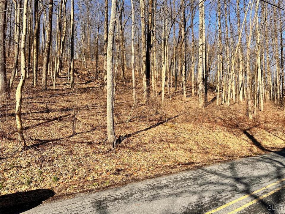6252 Hickory Road, Washington Twp, 賓夕法尼亞州 18080, 美國