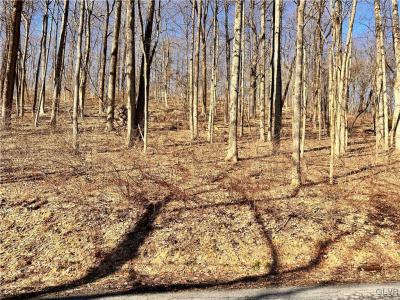 6252 Hickory Road, Washington Twp, Pennsylvania 18080, USA