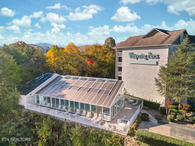 205 Ogle Drive, Pigeon Forge, Tennessee 37863, USA